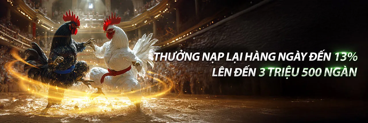 Đá Gà Trực Tuyến 28dt Đăng Nhập - Nền Tảng Cá Cược Hàng Đầu